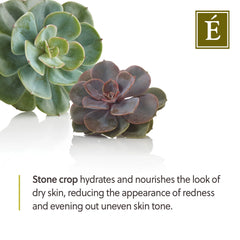 Eminence Organic Skin Care Stone Crop Hydrating Mist 4.2 fl. oz